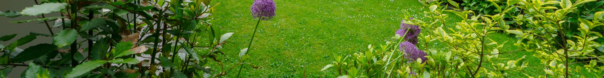 DeDennen_Tuin01.jpg