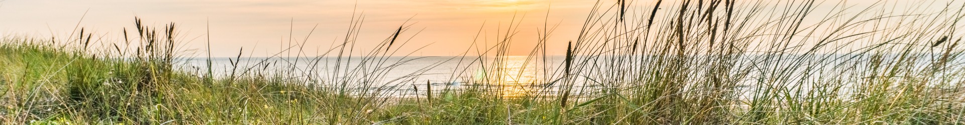 Hotel in Egmond - Strand duinen zon